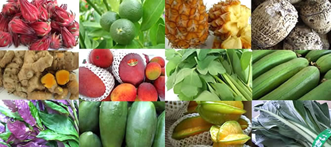 �������ڡ���ʪ�ʤ顢���Τ������